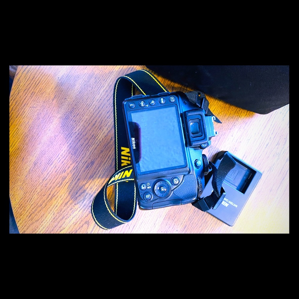Nikon D330